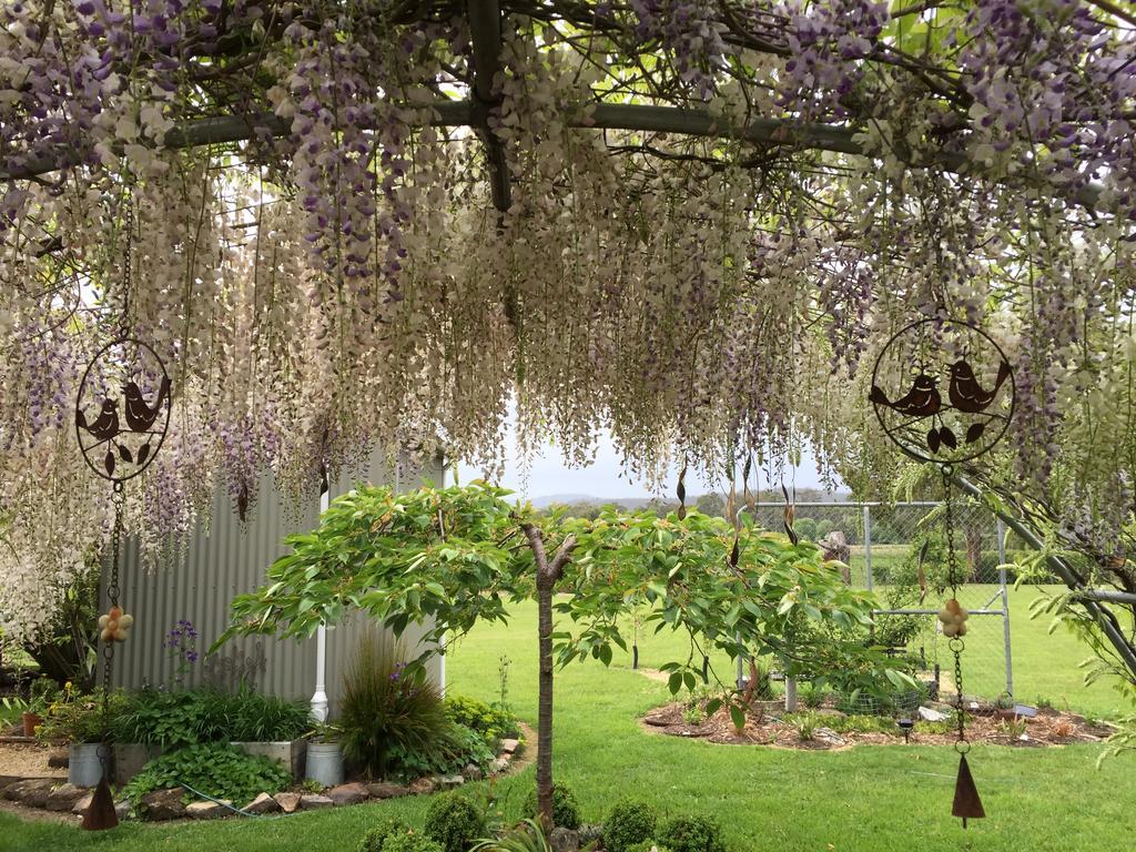 Duffy'S Country Accommodation Westerway ภายนอก รูปภาพ